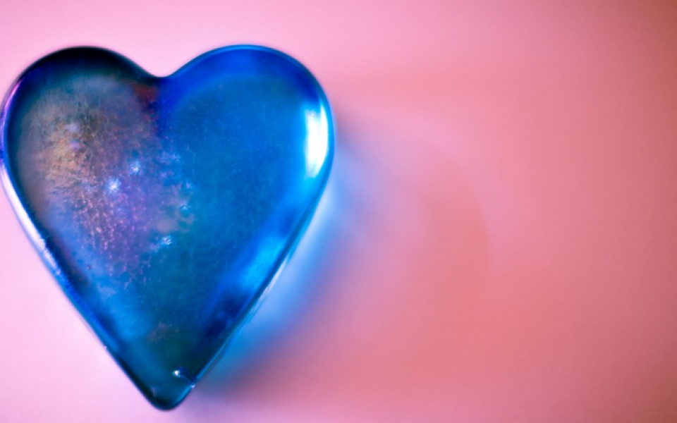 First beating heart experiments outside the body