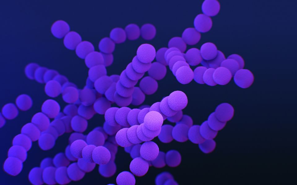 Biomedica On The Move