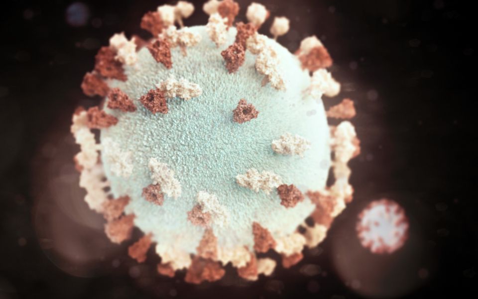 Binnen tien jaar nierfalen, diabetes en artrose genezen
